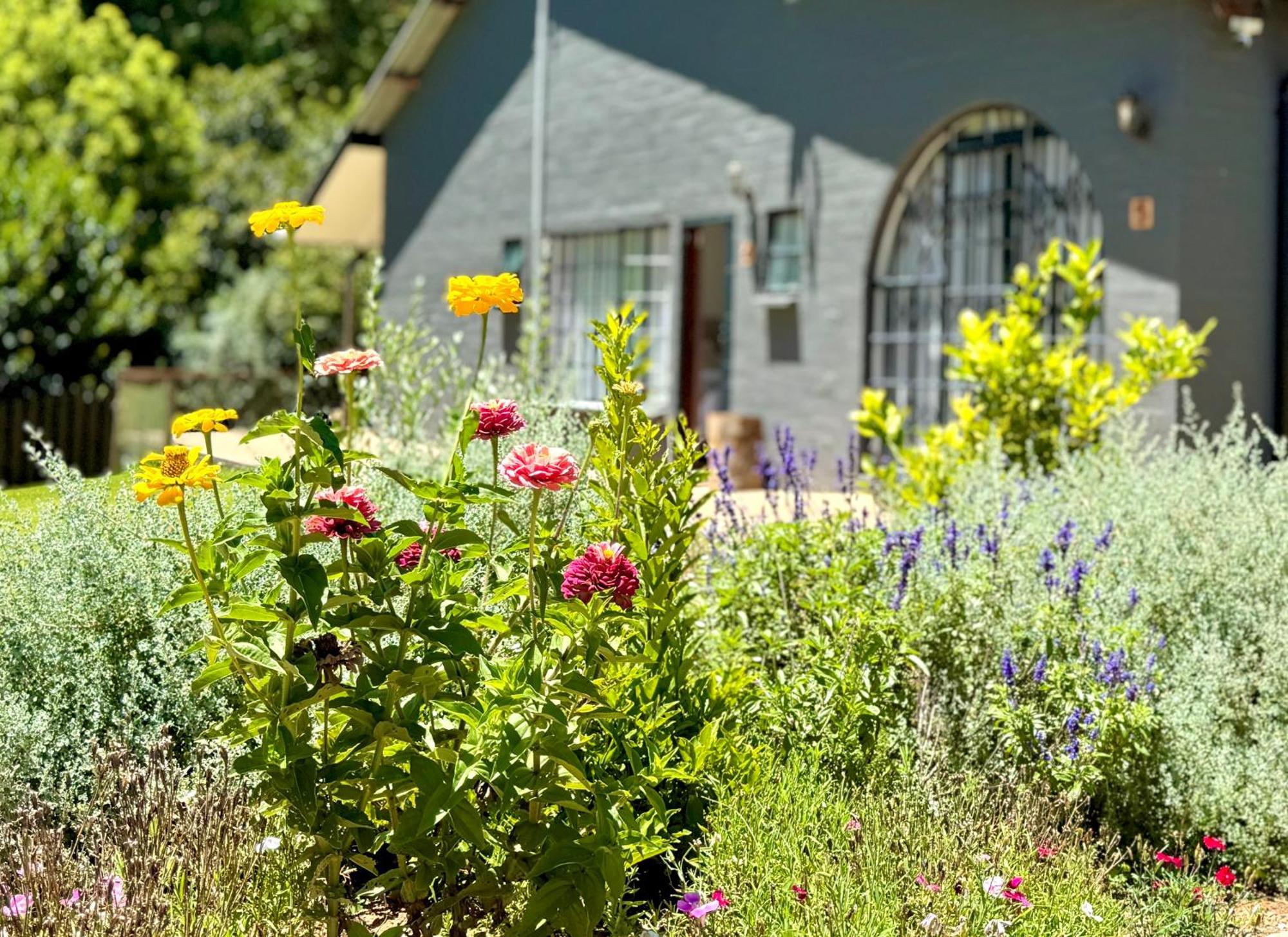 Fiddler'S Green Magoebaskloof Exterior photo